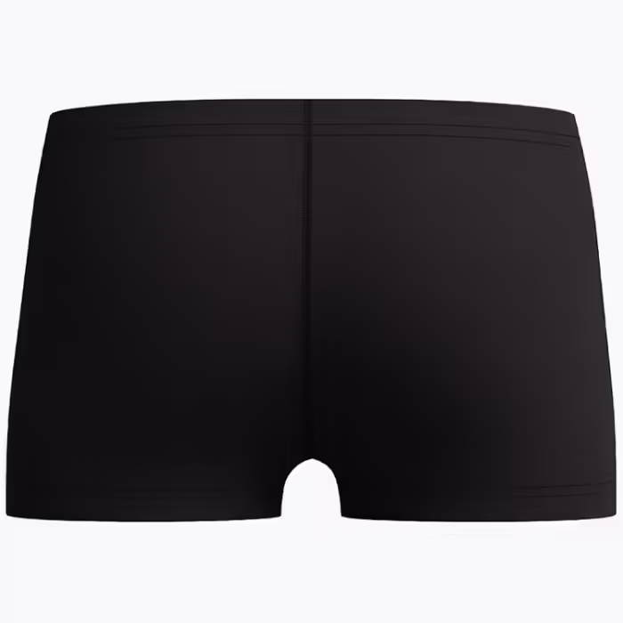 Slipi-sorti Speedo MEDLEY LOGO AQUASHORT JM - 2