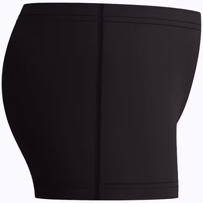 Slipi-sorti Speedo MEDLEY LOGO AQUASHORT JM - 5