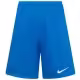 Шорты Nike Y NK DRY PARK III SHORT NB K