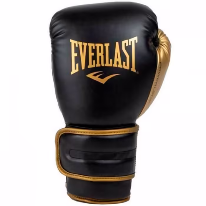 Перчатки для бокса Everlast POWERLOCK 2R 14OZ - 2