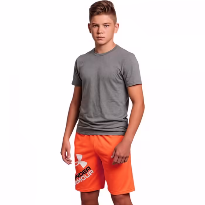 Sorti Under Armour UA BGS PROTOTYPE 2.0 LOGO SHORTS