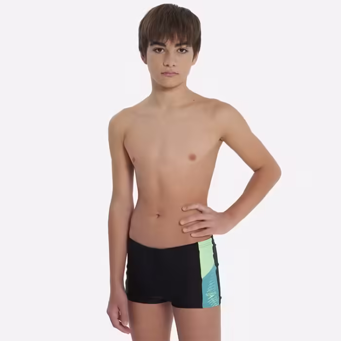 Плавки-шорты Speedo DIVE AQUASHORT