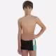 Плавки-шорты Speedo DIVE AQUASHORT