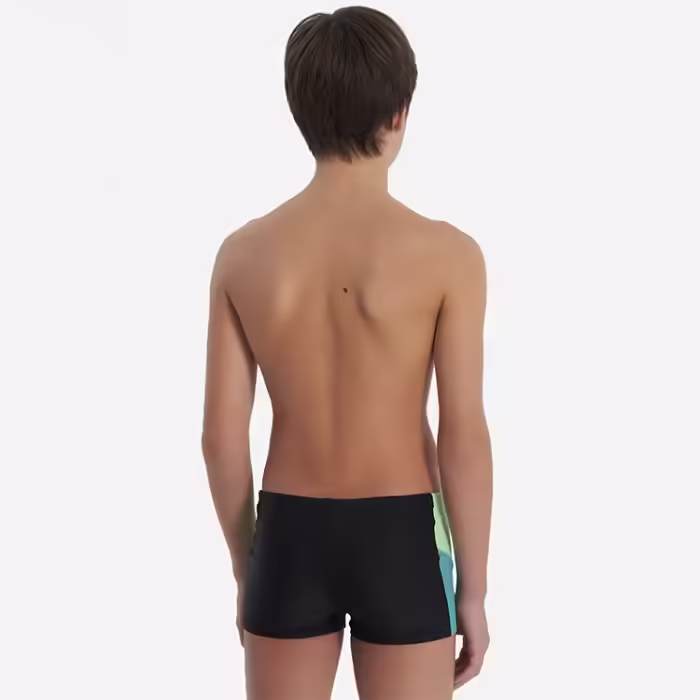 Плавки-шорты Speedo DIVE AQUASHORT - 3