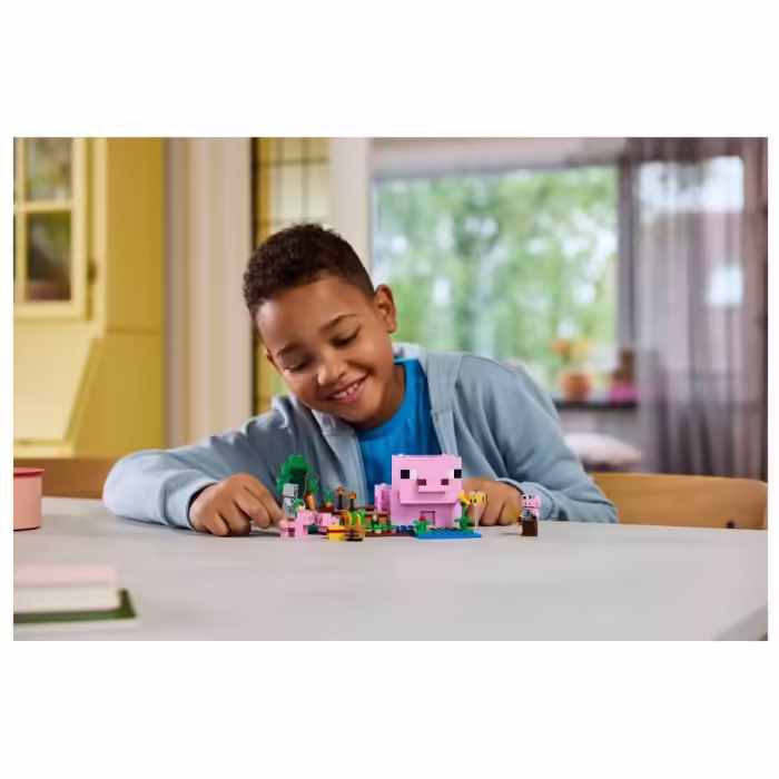 Конструктор Lego 21268 - 2