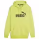 Толстовка Puma ESS Big Logo Hoodie FL