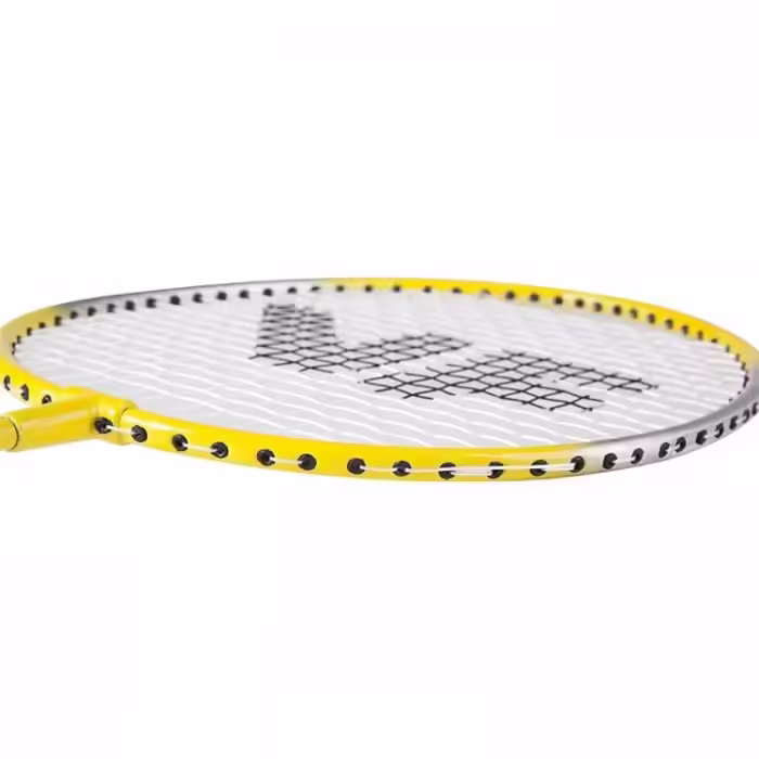 Set pentru badminton cu fluturas husa si plasa inSPORTline Victor 179500 - 3