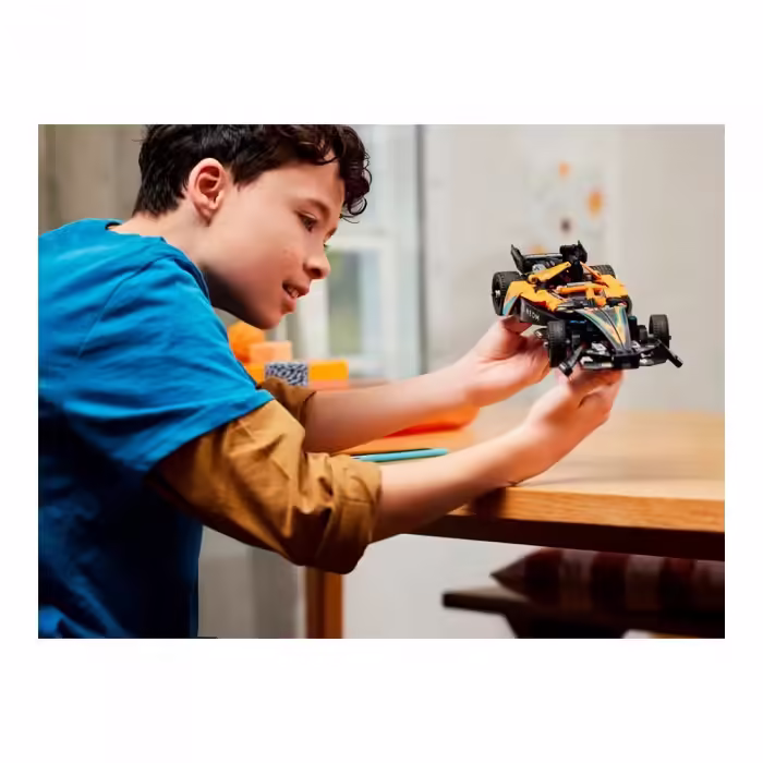 Constructor Lego 42169 - 10