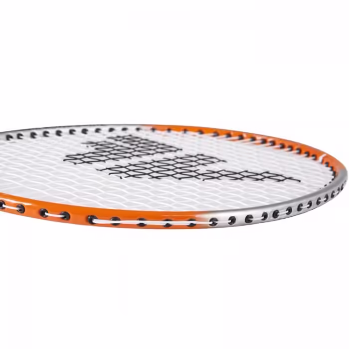 Набор для бадминтона с воланом и чехлом inSPORTline Victor 179616 - 3