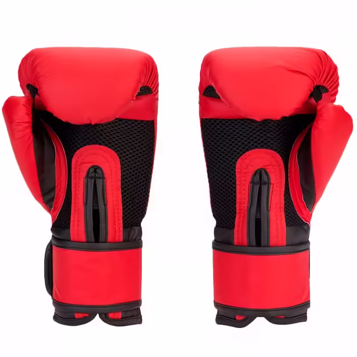 Перчатки для бокса Everlast PROSPECT GLOVES - 3