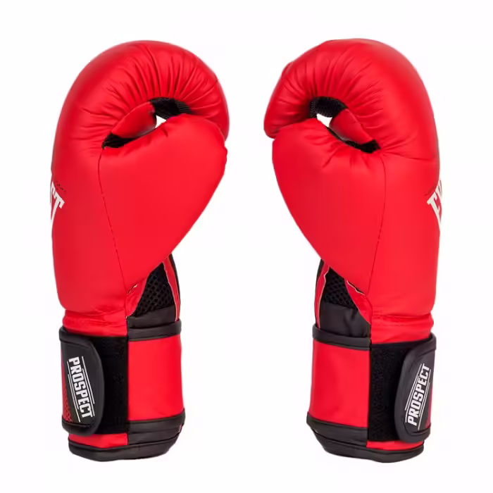 Перчатки для бокса Everlast PROSPECT GLOVES - 5