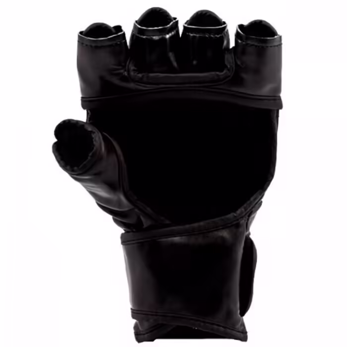 Manusi MMA Everlast MMA GRAPPLIN GL - 3