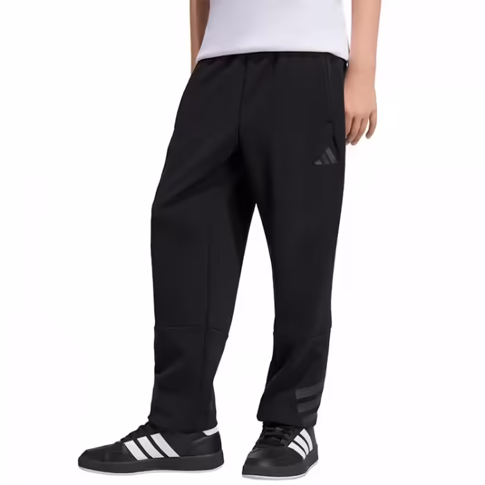 Брюки Adidas Future Icons 3-Stripes