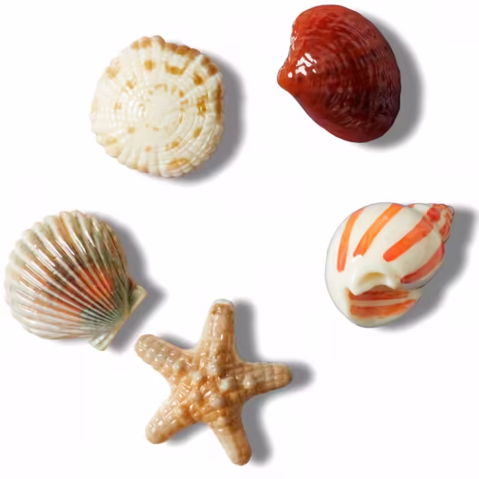 Jibbitz Crocs She Sells Seashells 5 Pack