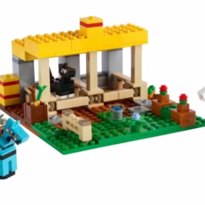 Constructori Lego 21171 - 2