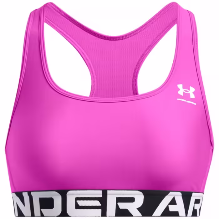 Спортивное бра Under Armour UA HG Authentics Mid Branded