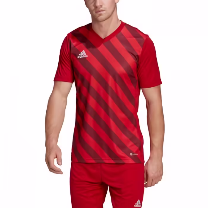 Tricou Adidas ENT22 GFX JSY