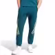 Брюки Adidas M FI 3S PT