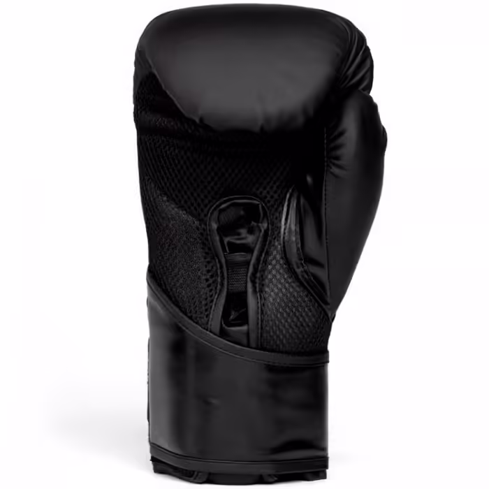 Перчатки для бокса Everlast ELITE 2 16OZ - 2