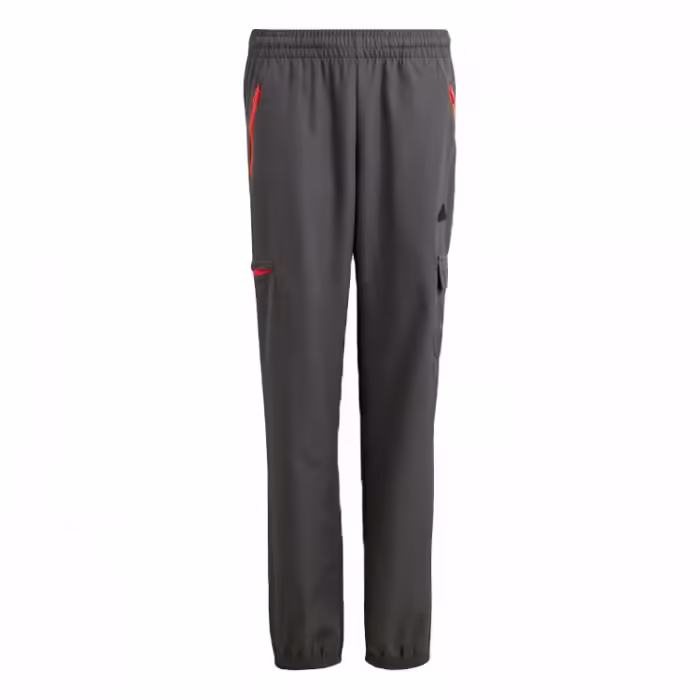 Pantaloni Adidas U CE Q2 CRGO PT Inox 176 - 6