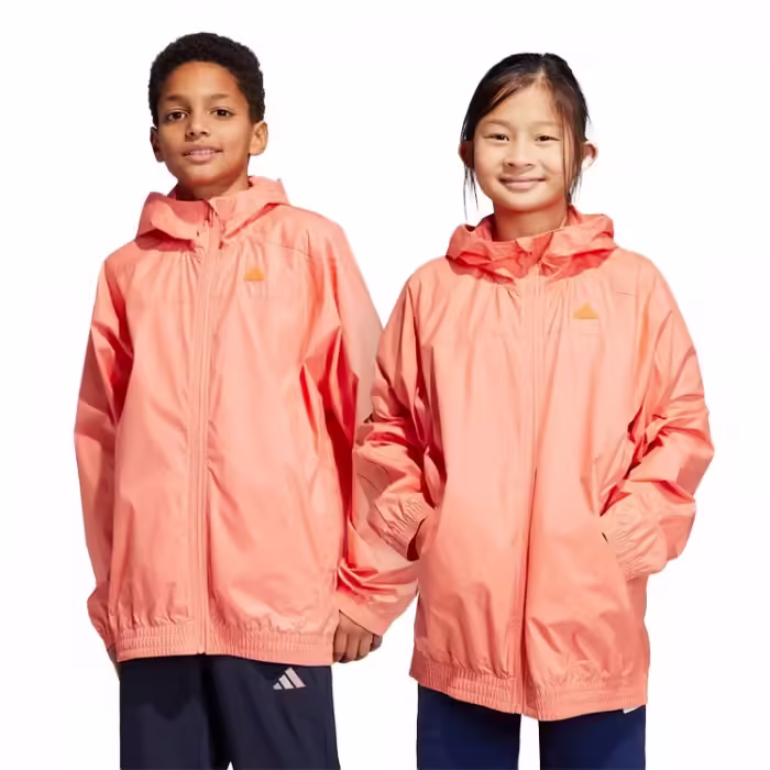 Ветровка Adidas U CE Q2 WB