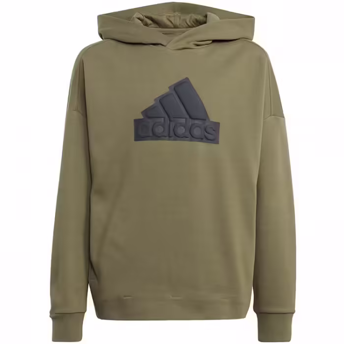Толстовка Adidas U FI LOGO HD