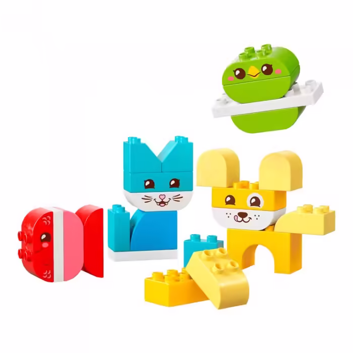 Constructor Lego 10477 - 2