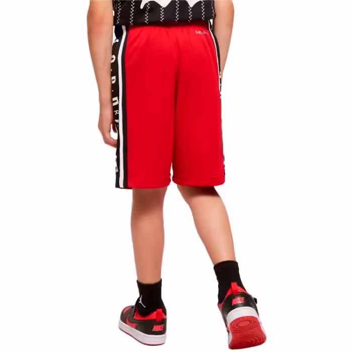 Шорты Nike JDB AIR JORDAN HBR BBALL SH - 5