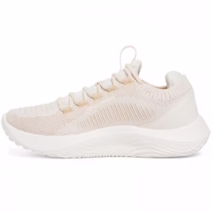 Incaltaminte Sport Under Armour UA W Dynamic 2