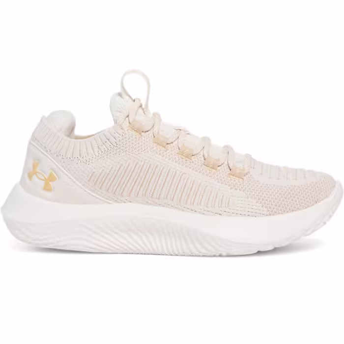 Incaltaminte Sport Under Armour UA W Dynamic 2 - 2
