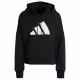 Толстовка Adidas W FI 3B HOODIE