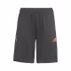 Шорты Adidas B AR X SHORT