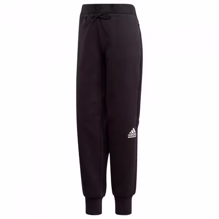 Брюки Adidas W ZNE pnt