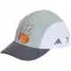 Chipiu Adidas Minecraft