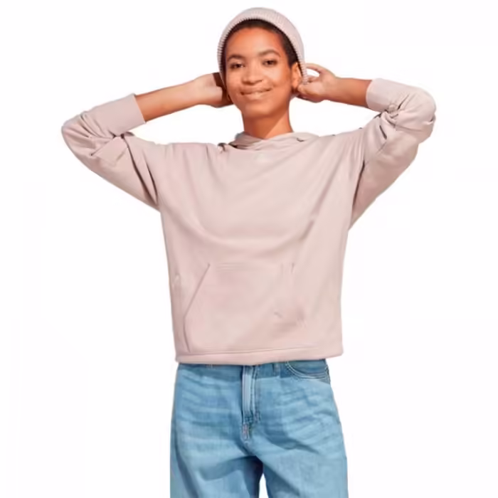 Толстовка Adidas BLUV Q1 HD SWT