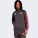 Толстовка Adidas AUDI REVOLUT F1