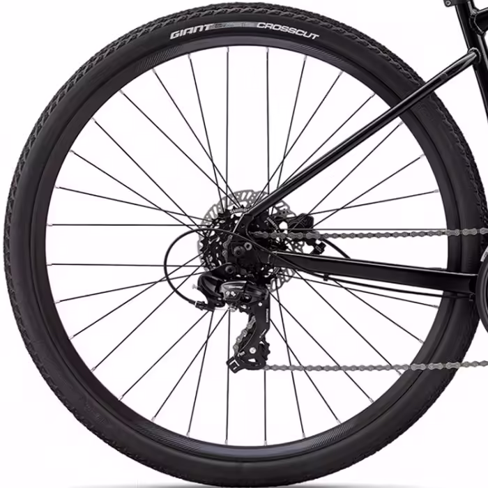 Велосипед дорожный Giant Roam 4 - 3
