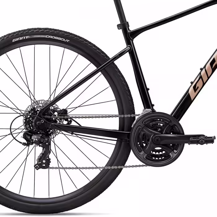 Велосипед дорожный Giant Roam 4 - 5