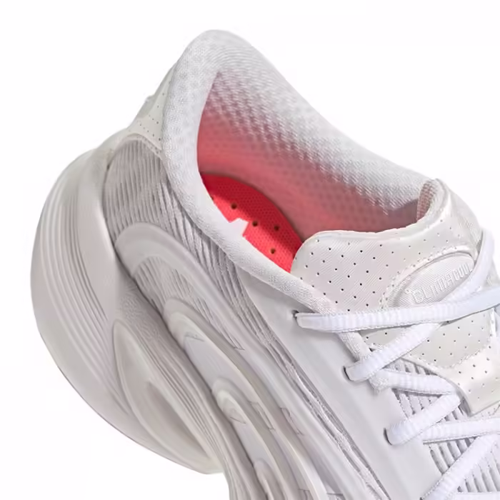 Кроссовки Adidas CLIMACOOL SPW - 5