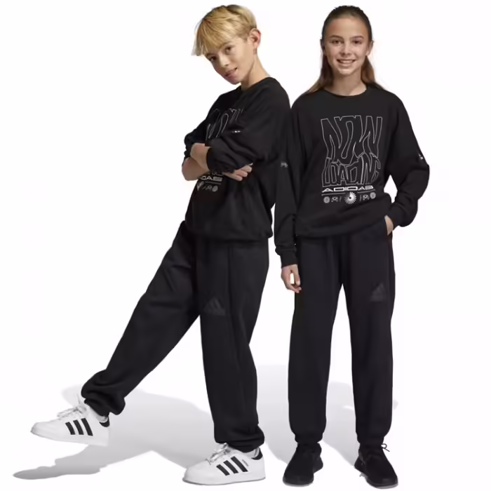 Брюки Adidas U FI LOGO PT