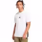 Alb