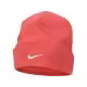 Шапка Nike U NK BEANIE PERF CUFFED