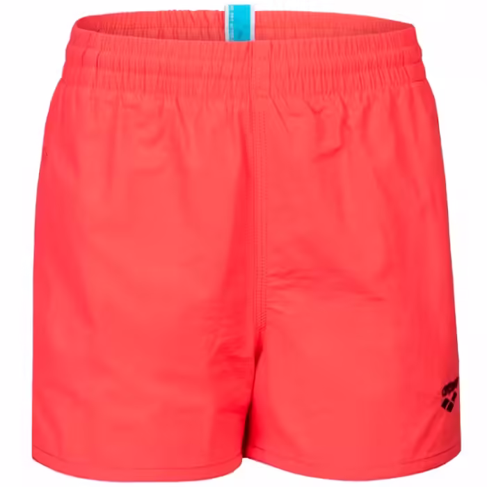 Sorti pentru inot Arena BYWAYX YOUTH R - 2