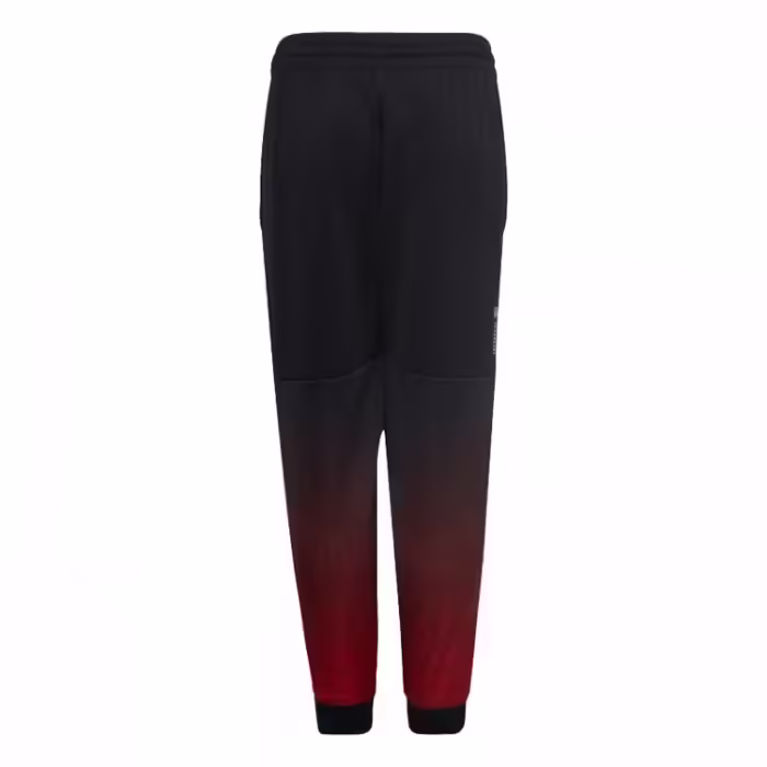 Брюки Adidas LK DY MM PANT - 2