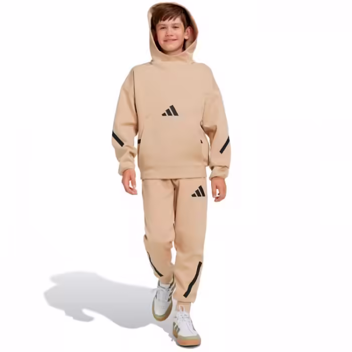 Брюки Adidas J Z.N.E. PT