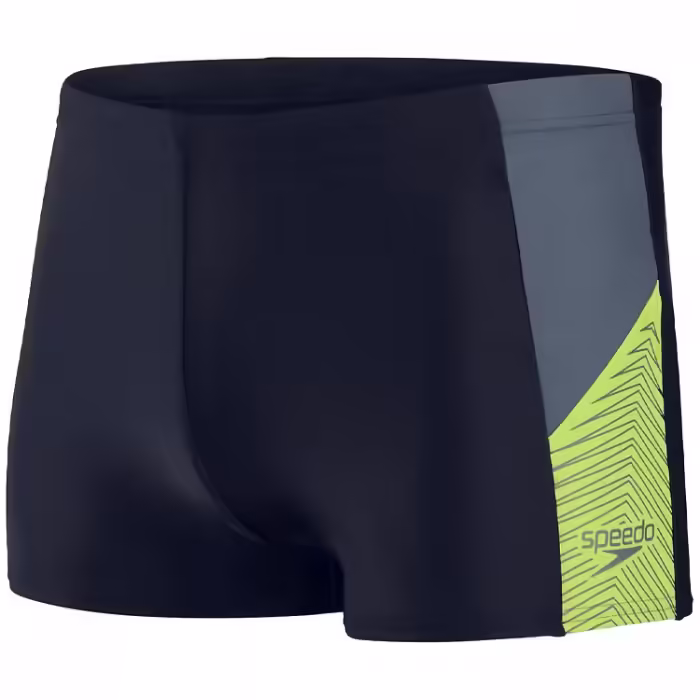 Плавки-шорты Speedo DIVE ASHT AM