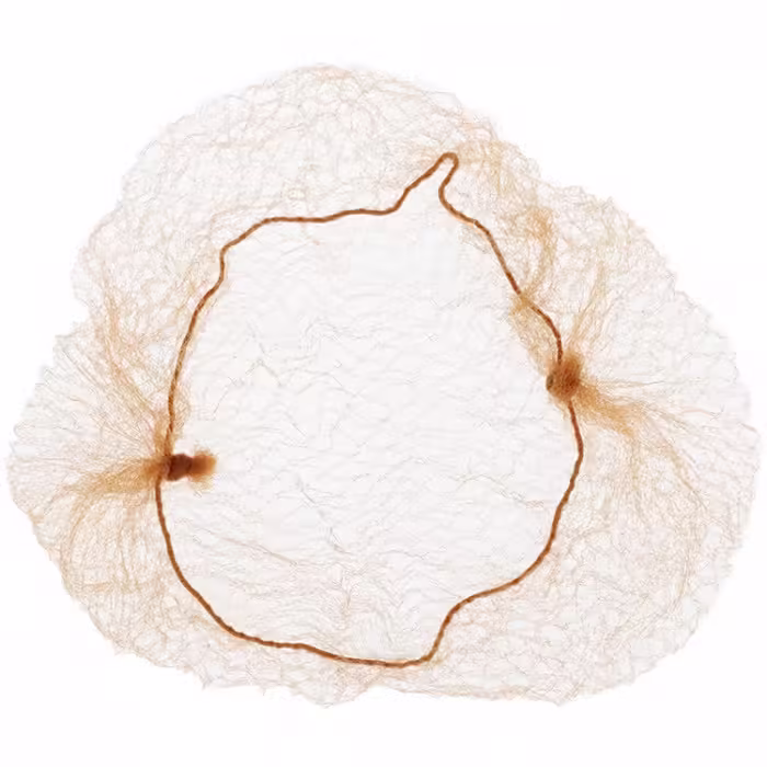 Сетка на пучок Grace Dance Gymnastics Hair Net - 3