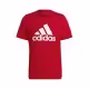 Sportlandia-25