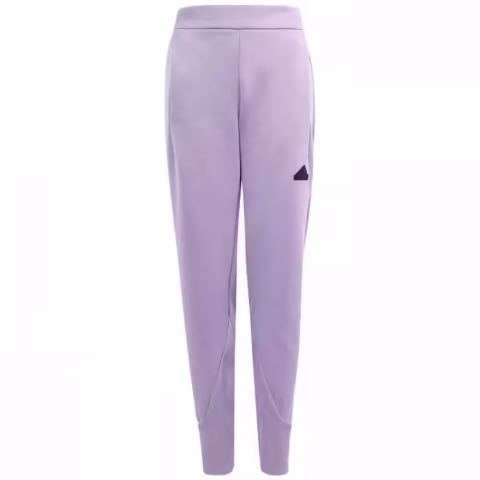 Брюки Adidas J Z.N.E. PT