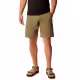 Sorti Columbia Silver Ridge Utility Cargo Short